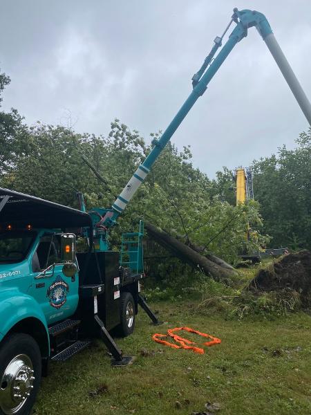 Top Notch Tree Services
