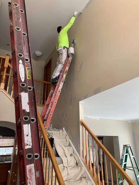 Apex Paint Pros