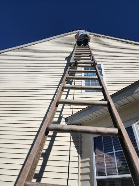 Ultime Mold and Pest Services