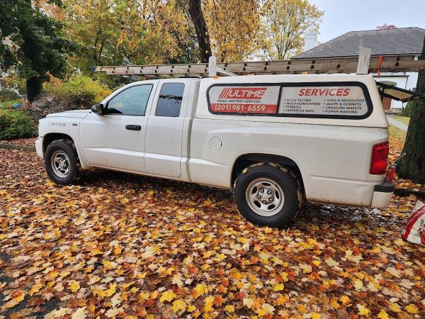 Ultime Mold and Pest Services