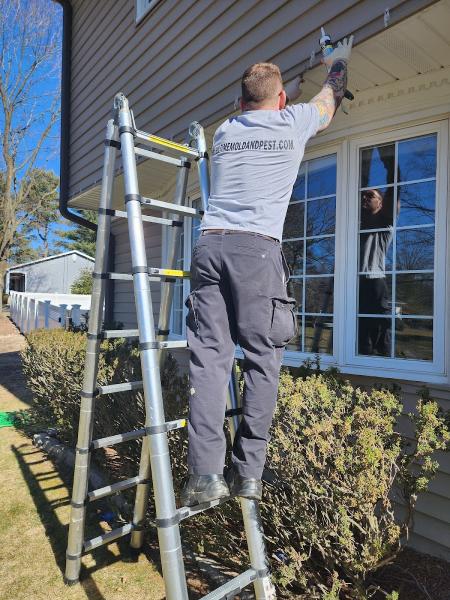 Ultime Mold and Pest Services