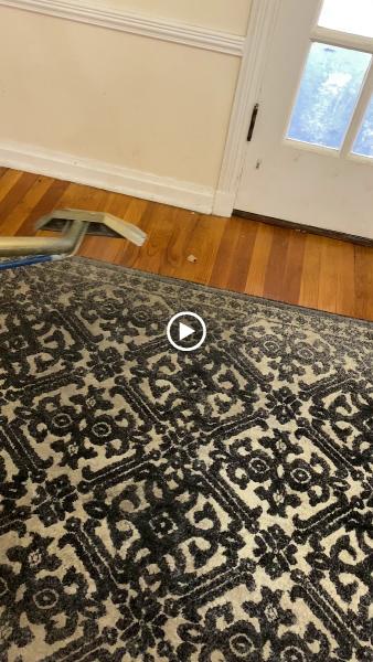 Mighty Mike's Carpet Cleaning 2