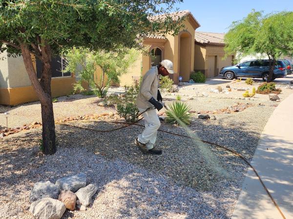 Snyder's Weed Control