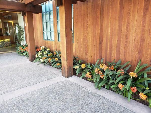 Alpine Landscapes & Tree Services