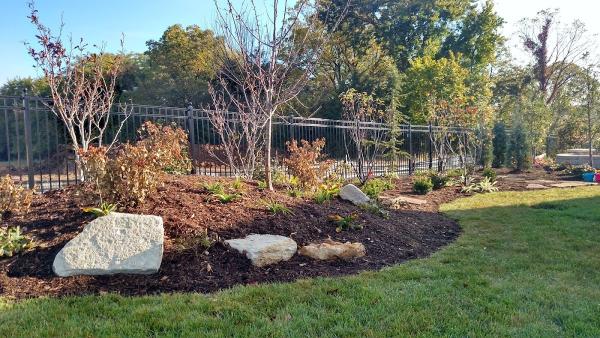 Greentouch Lawn & Tree