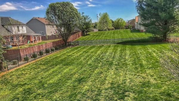 Mil-Spec Landscaping
