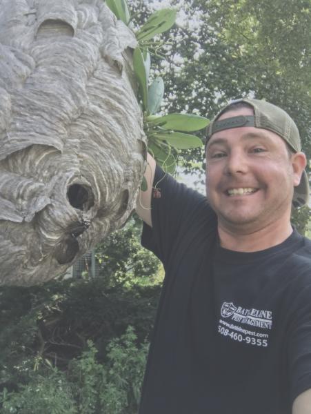 Battleline Pest Management