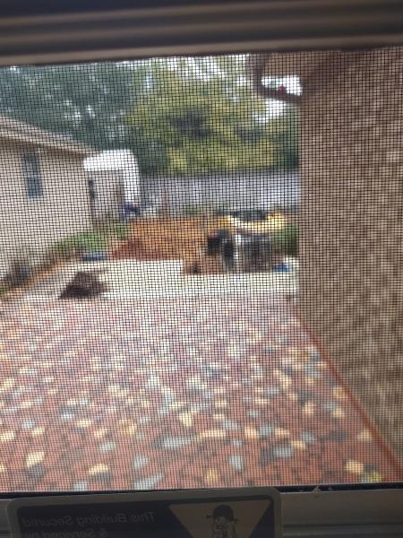 Quality Dirt Works & Construction