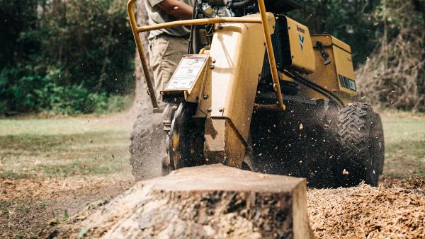 Cornerstone Stump Grinding
