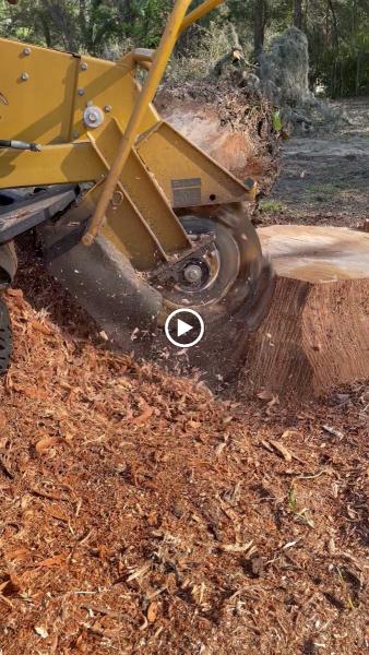 Cornerstone Stump Grinding