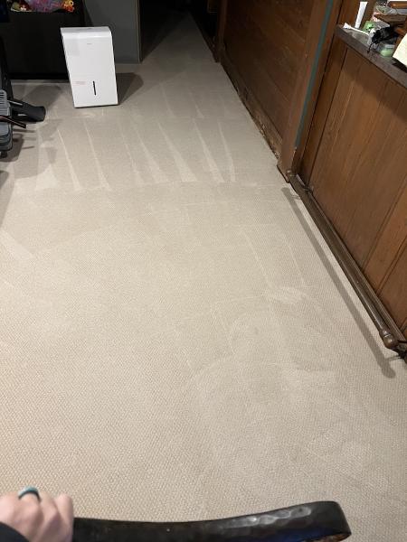 Steamdoctor Restoration & Cleaning