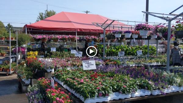 Alexander's True Value Garden Center