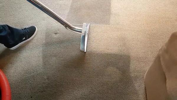 First Choice Carpet Cleaning