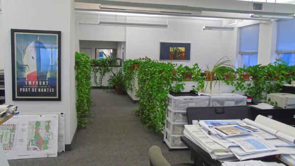 Mikesell & Associates