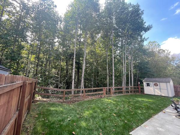 Davis Tree Surgeons