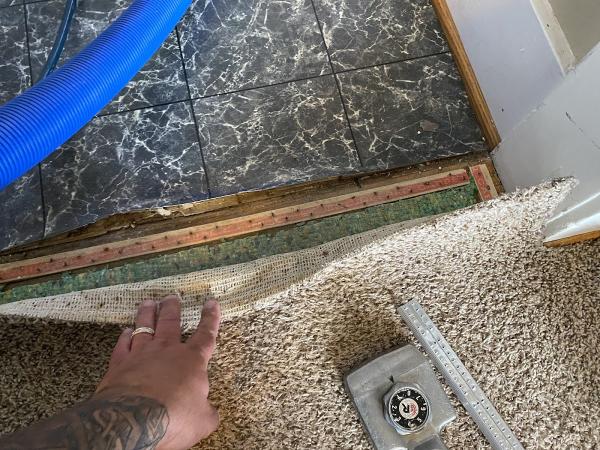 Triple Gem Carpet Cleaning