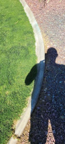 All-Pro Pest & Weed Control Services