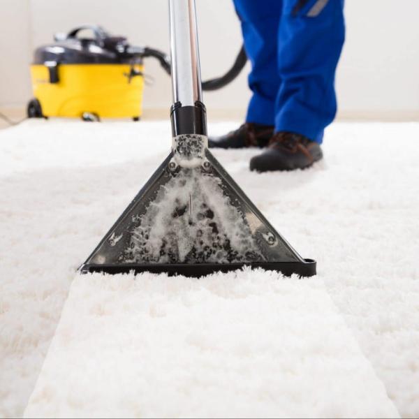 Top Lynn Carpet Cleaners
