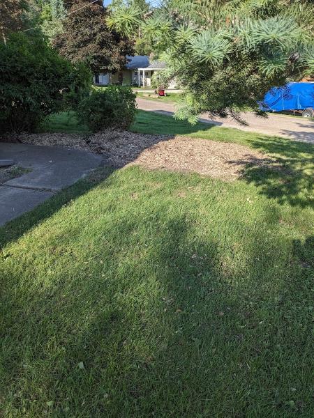 Dan's Outdoor Services