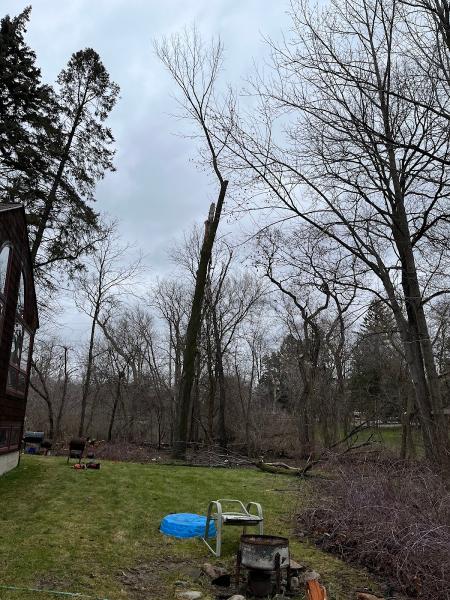Dan's Outdoor Services