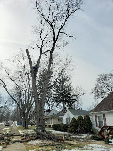 Dan's Outdoor Services