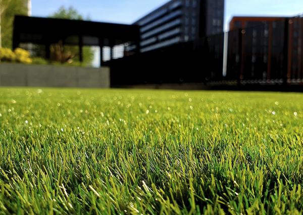 Grow: Turf and Pest Solutions