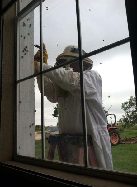 Native Pest Control