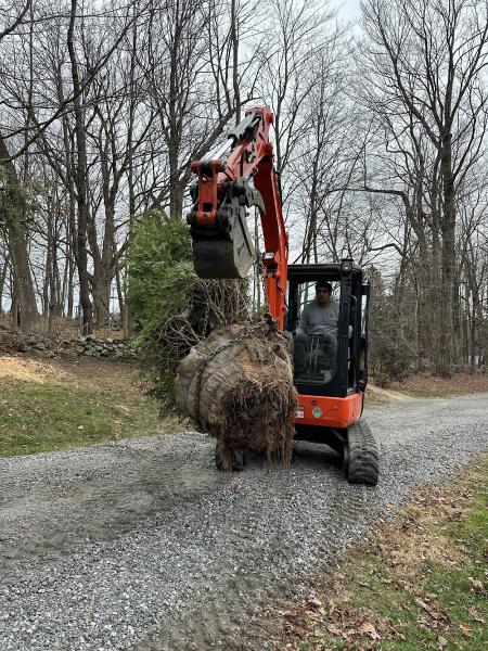 Paradise Lawn and Landscape LLC