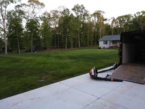 Green Guys Lawn Service