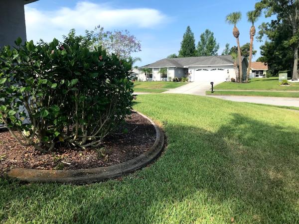 Taylor's Diamond Cut Professional Grounds Service