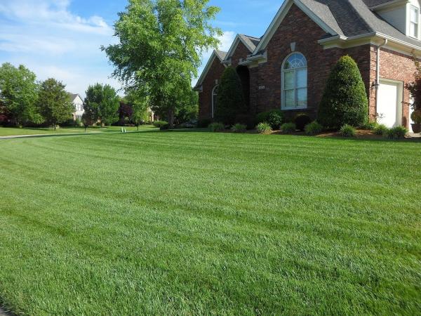 Eagle Lawn Service & Pest Control