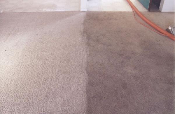 Enviroclean Carpet Care
