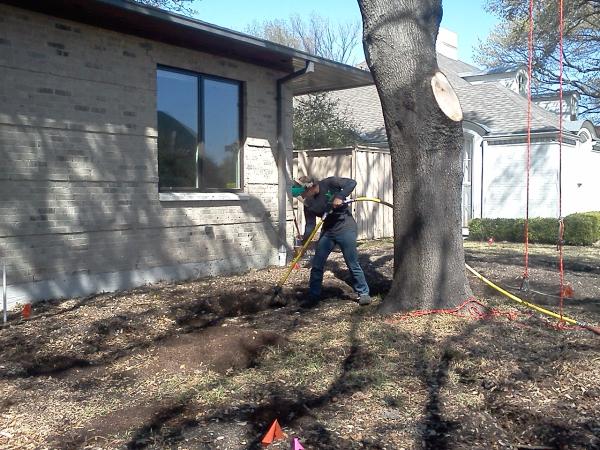 Arbordocs LLC