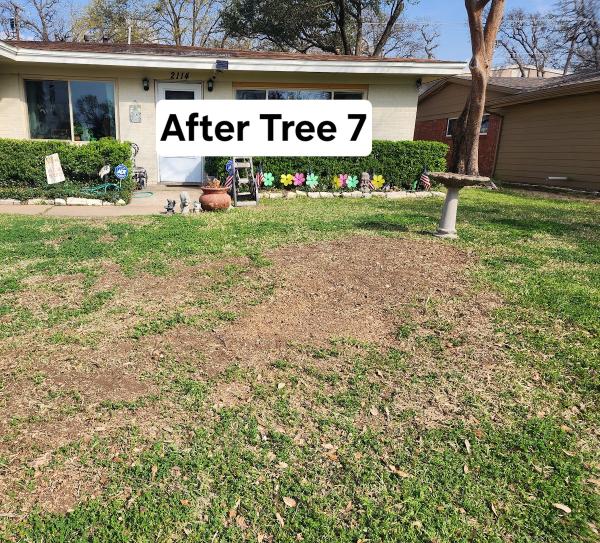 Burris Tree Service