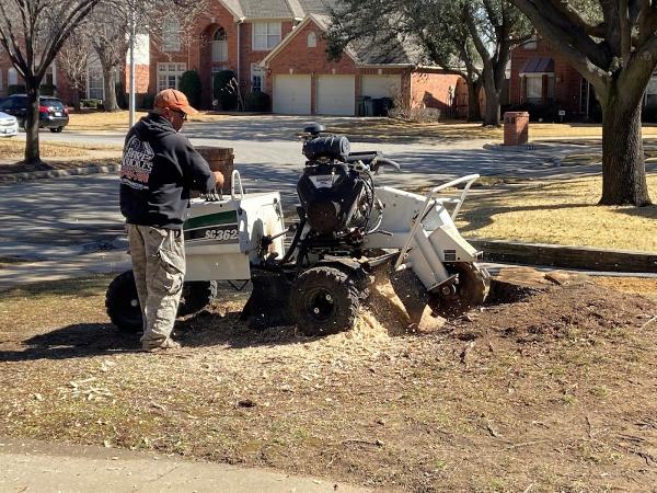 Burris Tree Service
