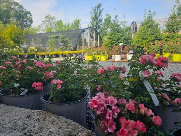Tripp Landscaping