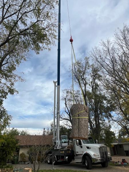 Royal Oak Tree Service Inc