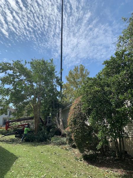 New Leaf Tree Service