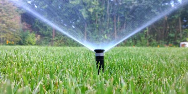 The Lawn MD LLC