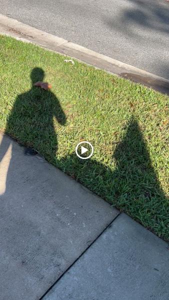 The Lawn MD LLC