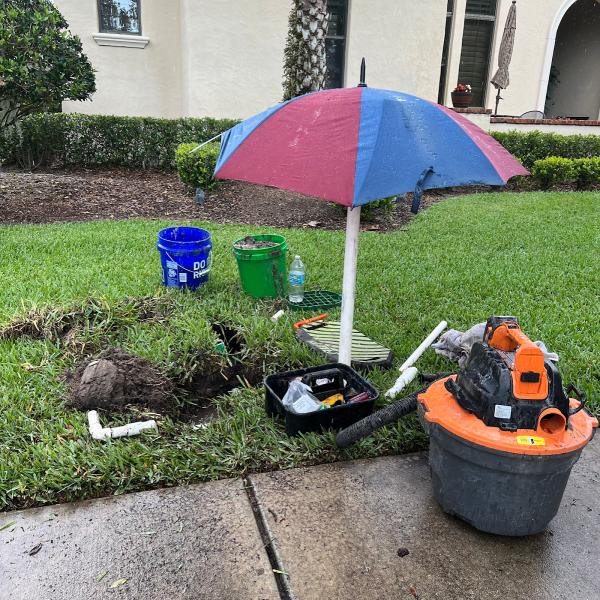 The Lawn MD LLC