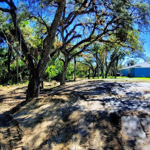 Triple D Land Clearing and Development