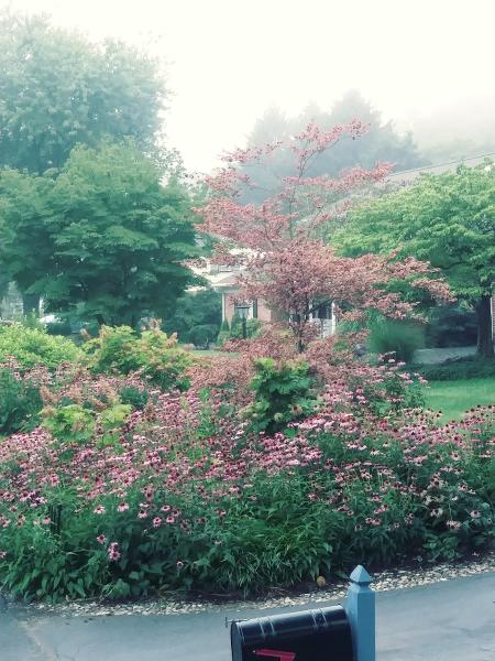 Green Estates Lawn & Tree Care