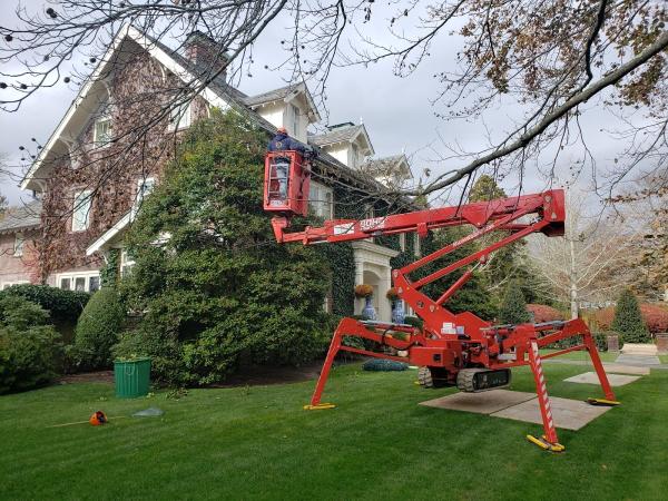 Dario's Landscaping