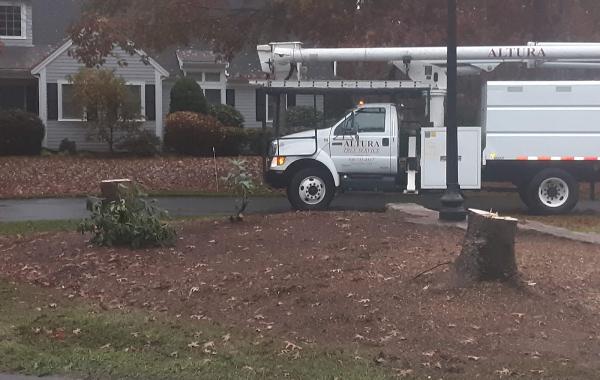Altura Tree Service