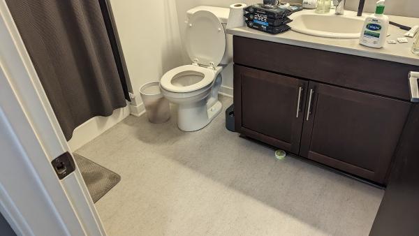 Carla & the Girls Cleaning Llc
