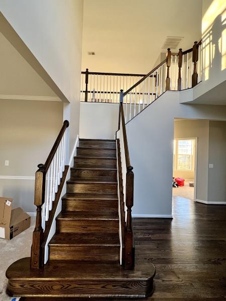 Appaloosa Painting Co