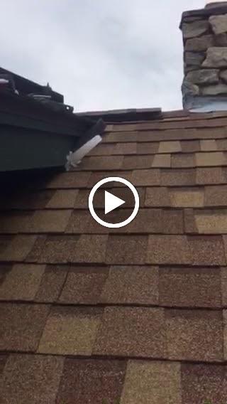 Ultra Safe Pest Management