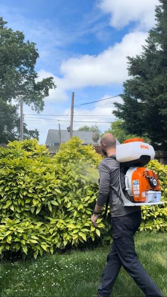 Nestguard Exterminating