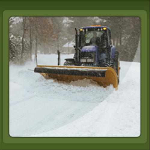 Wilfredo's Landscaping Services